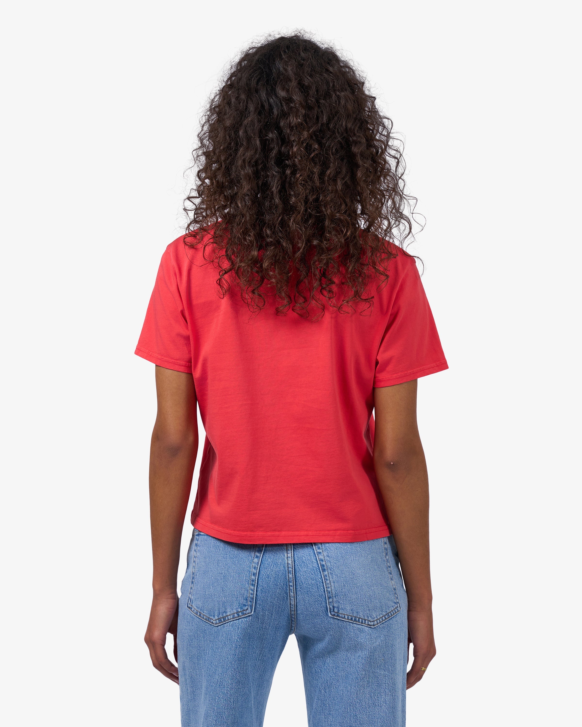 Organic Boxy Crop Tee - Misty Brown